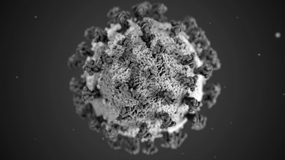 Mickroskopbillede af COVID-19 virus